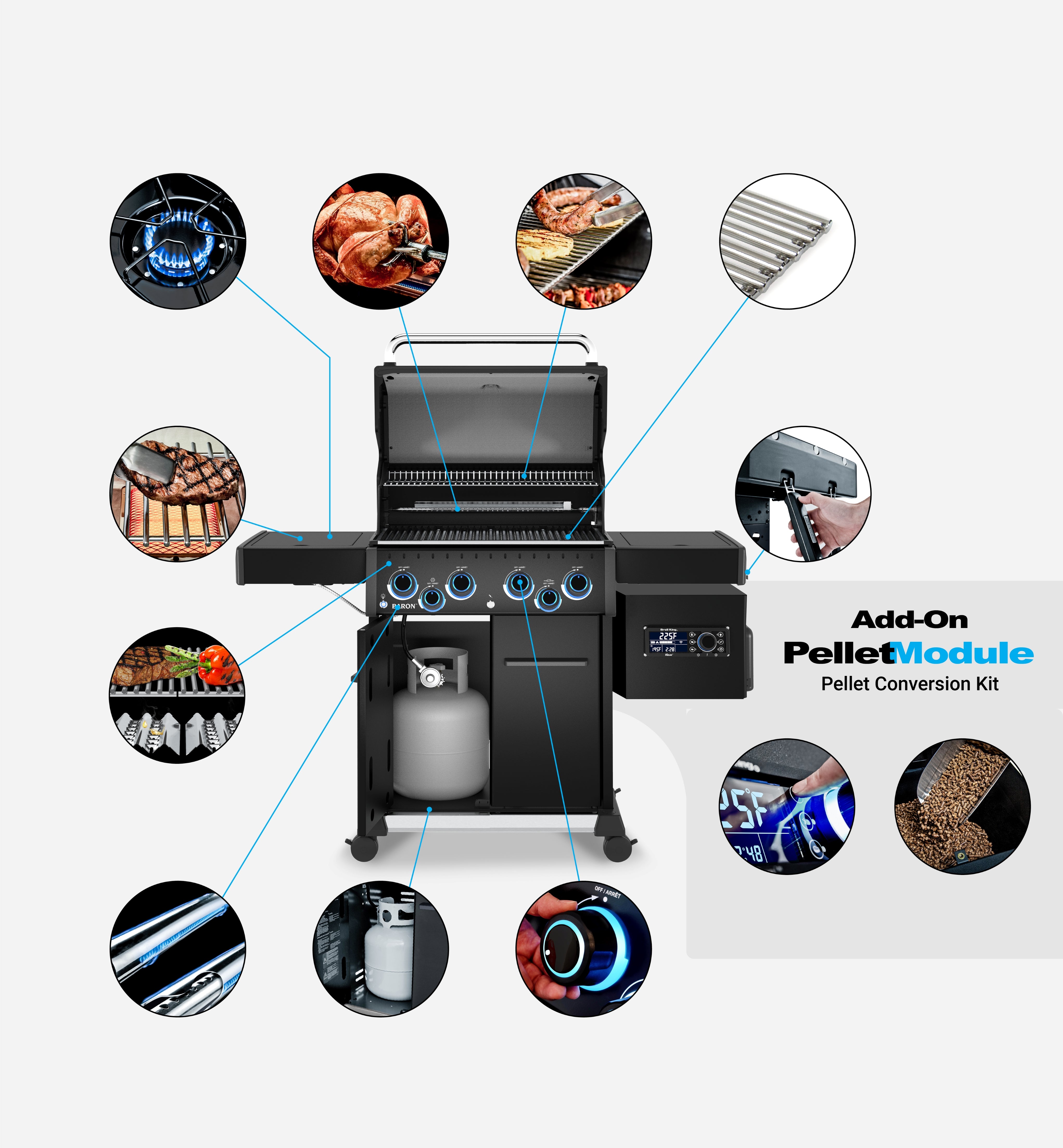 Grill Anatomy Image