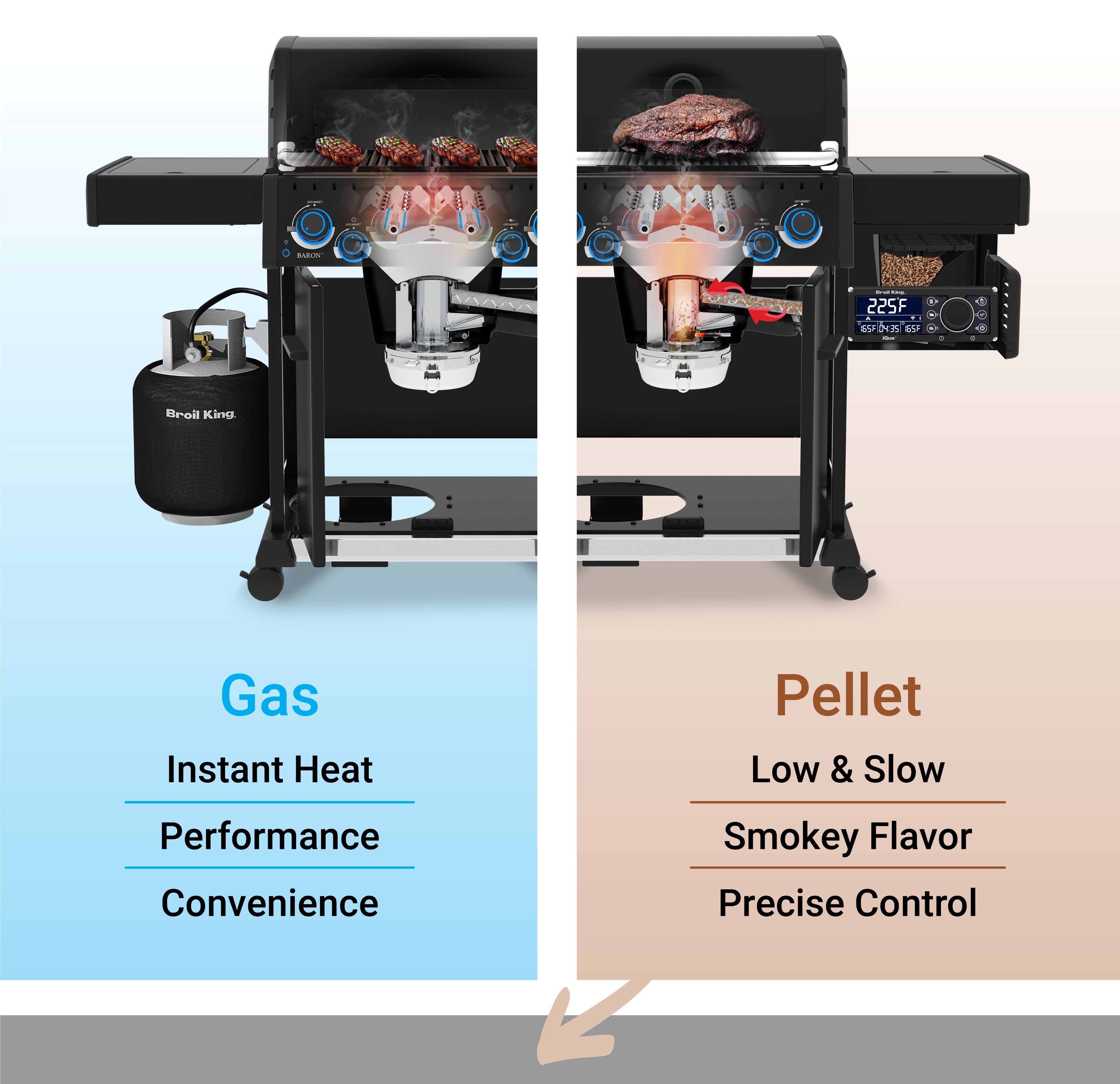 Grill Anatomy Image